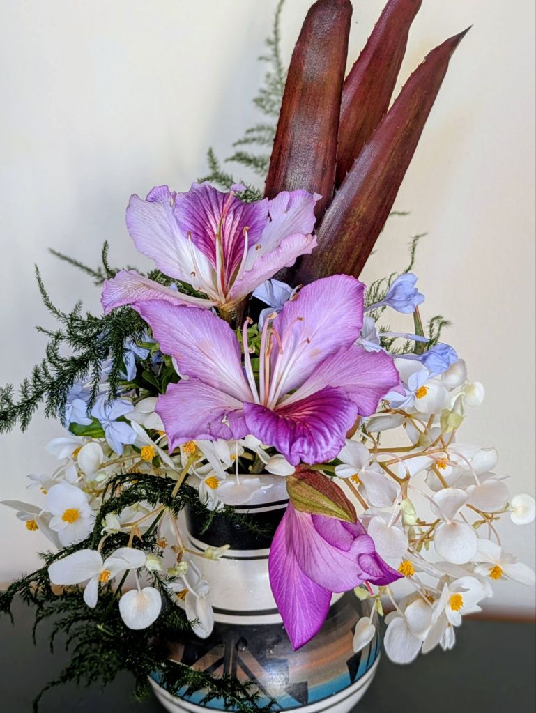 wp-17730022881393038205476542080237