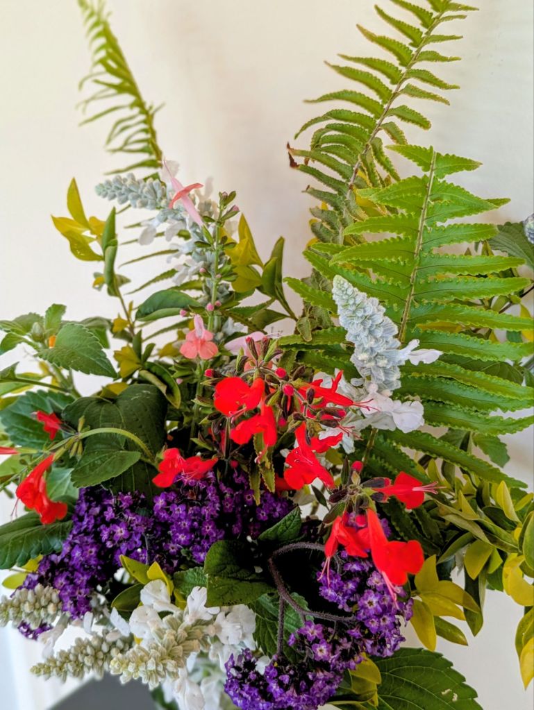 wp-177360977215372333845556449540