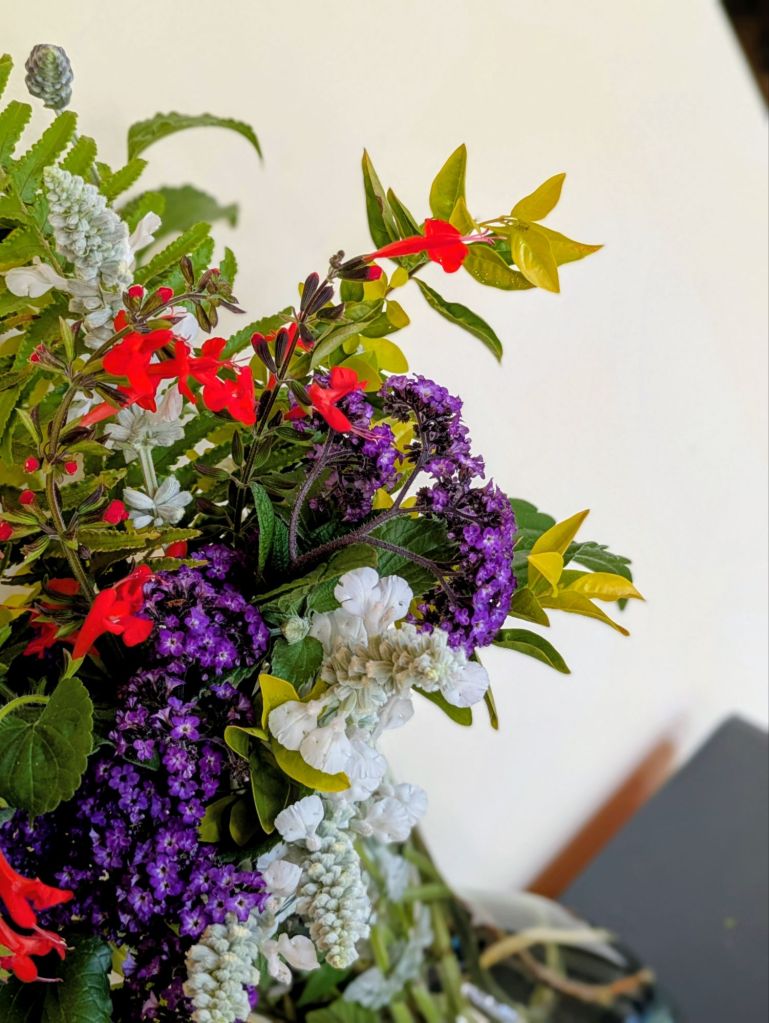 wp-17736105108438552295667236172659