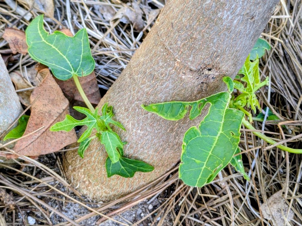 wp-17740996160238845598990569423139