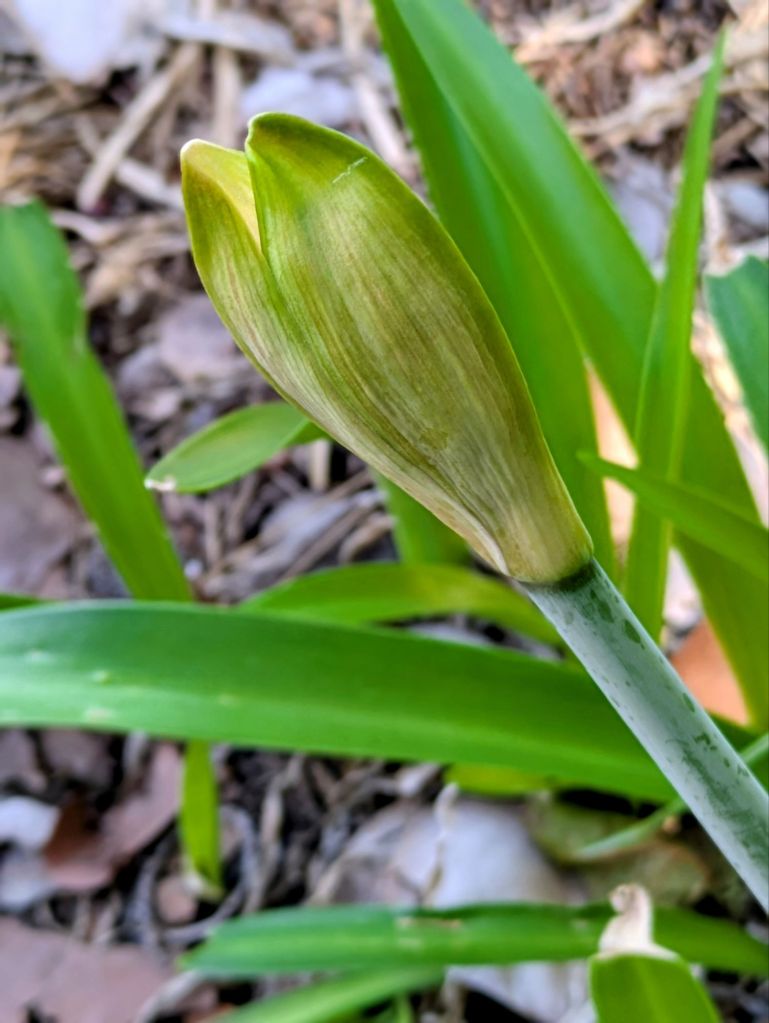 wp-17740997709712527330345296728600