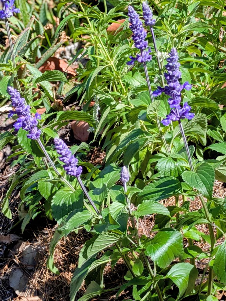 wp-17740998711354496359789524779640