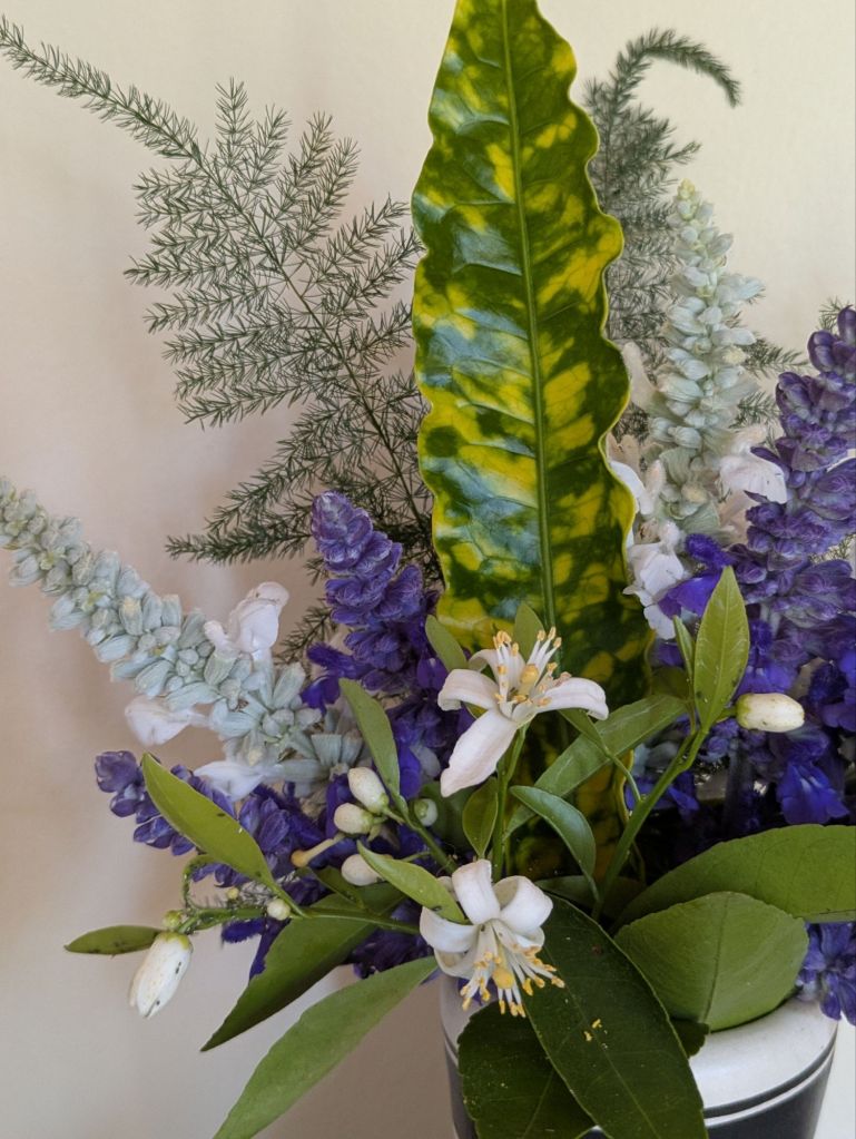 wp-17742072627093635014006585796753