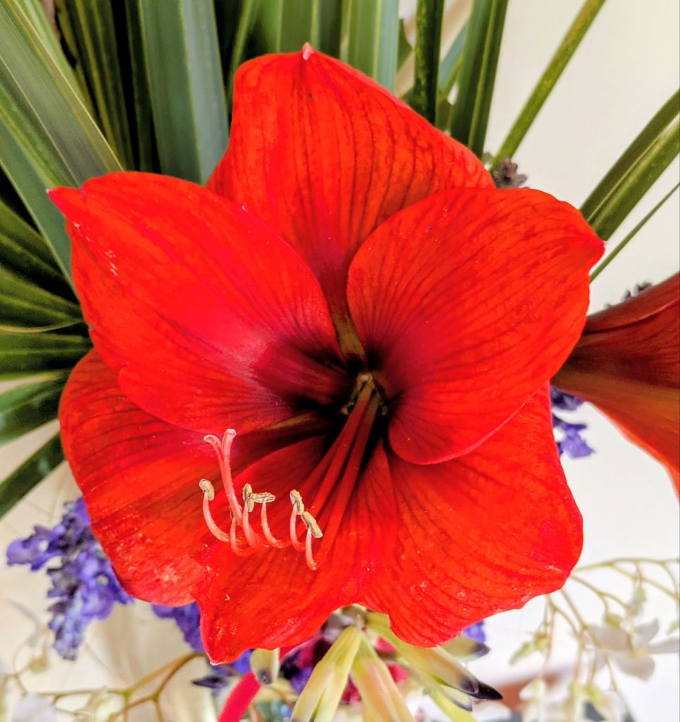 wp-17748133292932362223122165676526