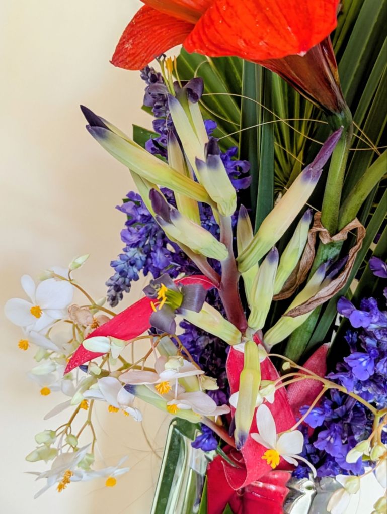 wp-17748134289637460490898565025489