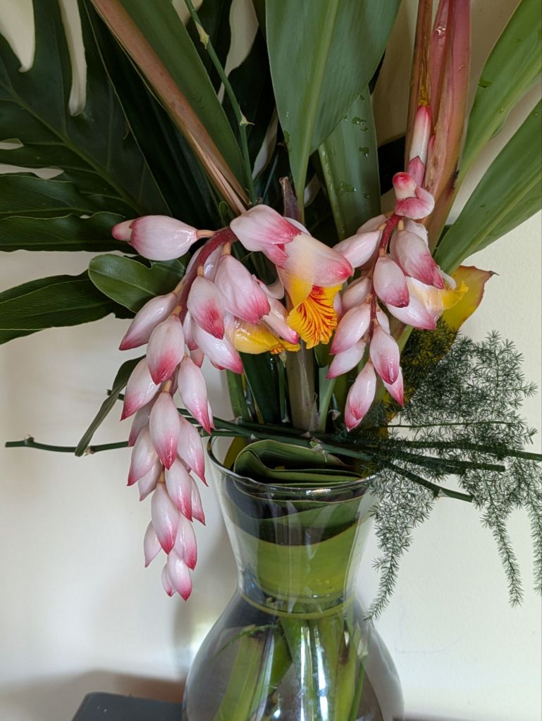 wp-17754187047474280497094161993167