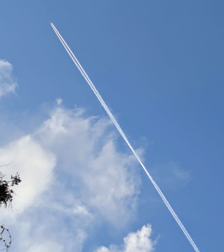 wp-17759146959427819887490888666524