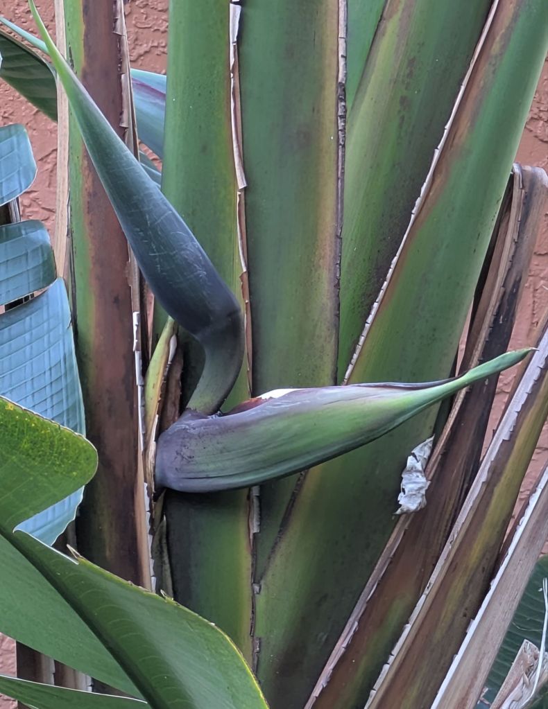 wp-17759155293873956002428519913791