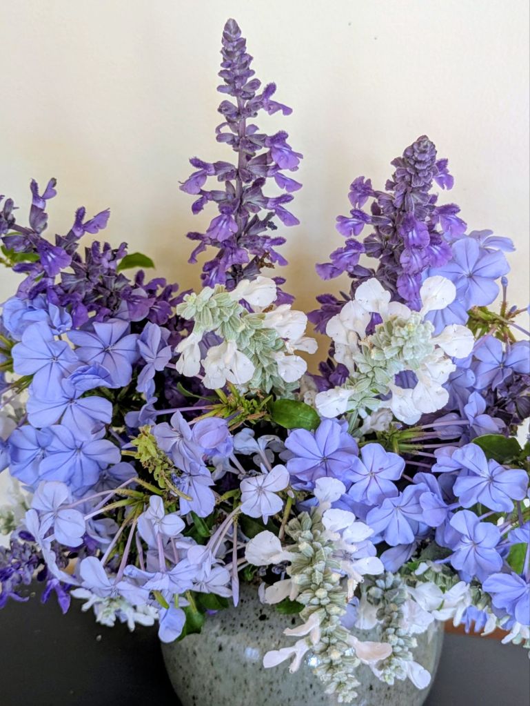 wp-17760355453589108225662959612771