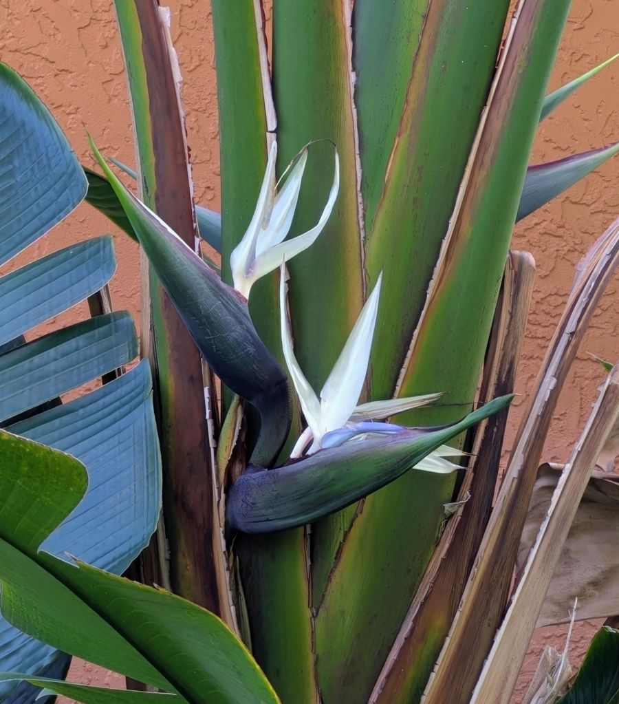 wp-17765185919237644308319888364277