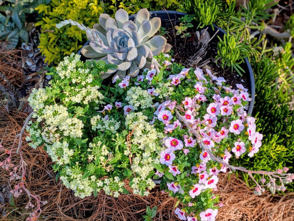 wp-17765189271036757911464833649222