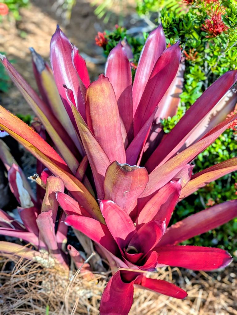 wp-17765192999852580315990603830285