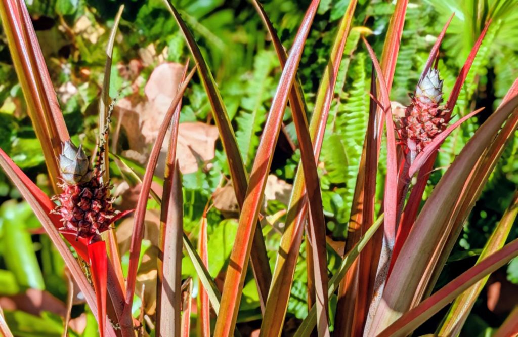 wp-17765200359026607137441203506865