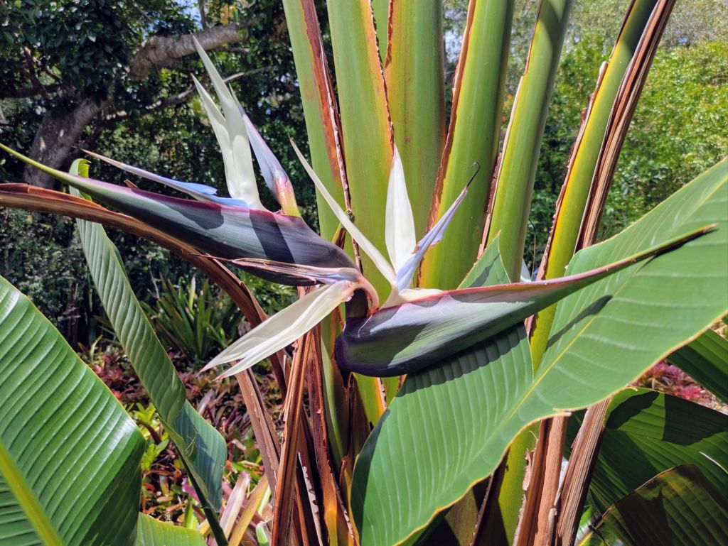 wp-17771253109186241578479482768409