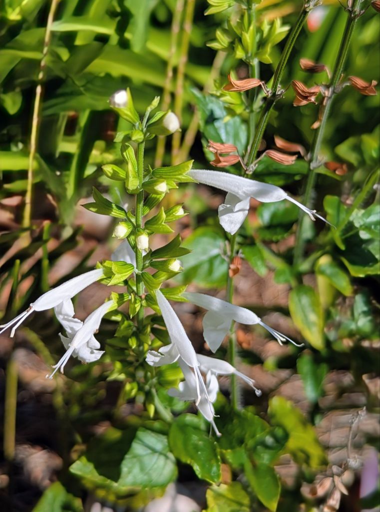 wp-17771255121018905575831834026163