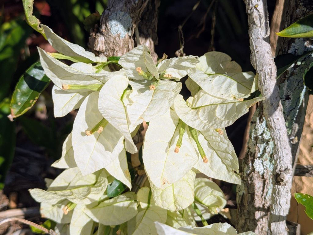 wp-17771263030057184141767899506241