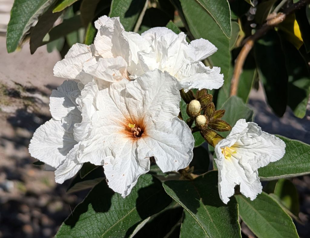 wp-17771264950694392071861327241619