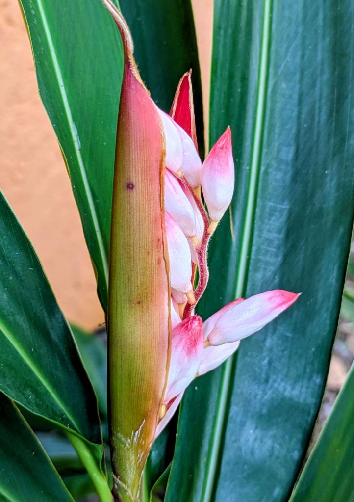 wp-17771266384696900370062837841781