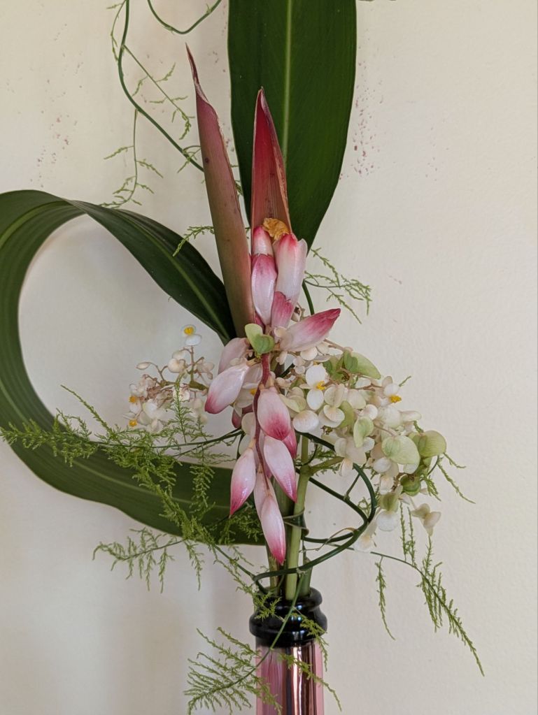 wp-1777231993644366496300560774463